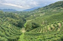 Prosecco wine and food feast in family osteria 