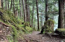 Explore Tongass National Forest on Connell Lake Trail Hike