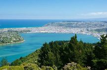 天际线 private Dunedin city & Otago Peninsula Day Tour (up to 4) 