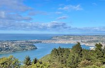 天际线 private Dunedin city & Otago Peninsula Day Tour (up to 4) 