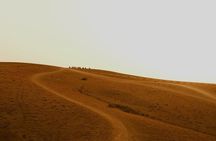 Agafay Desert Camel riding with sunset and dinner and berber show