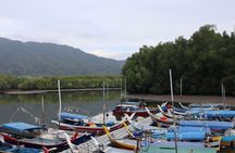 Mangrove Kayaking Tour from Langkawi