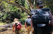 Kilimanjaro Wanderlust Day Hike
