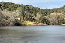 Hahndorf and Hills Wildlife Wonders