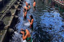 Ubud : Monkey Forest, Rice Terrace, Temples & Waterfall Tour
