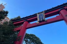 Tokyo: A cultural journey and a little bar hopping of izakaya