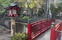 Tokyo: Taste the downtown atmosphere and enjoy Japanese culture