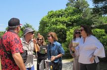 Kobe Highlight Private Tour