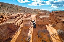 Greater Zion: UTV Tour through The Squeeze