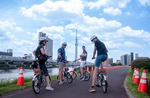 Tokyo Non-Touristy Local Private E-bike Cycling Tour from Asakusa
