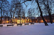 Experience Turku with a local guide