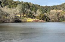 Adelaide Cruise Ship Tours to Hahndorf & Hills Wildlife Wonders