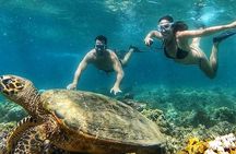 Gili Air : Private Snorkeling with 4 spots 