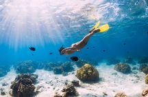 Gili Air : Private Snorkeling with 4 spots 
