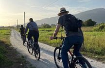 Countryside Biking Tour in Langkawi