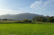 Countryside Biking Tour in Langkawi