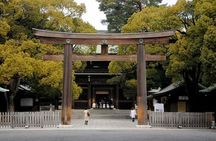 Tokyo Private Tour with English Pro Guide in Luxury Vehicle