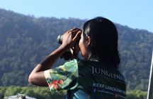 Birdwatching Tour in Langkawi