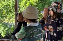 Birdwatching Tour in Langkawi