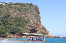 7-Day Garden Route Safari Adventure from Cape Town