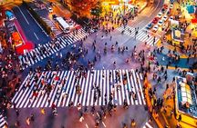 Private 1-Day Tokyo city tour with English speaking Driver 