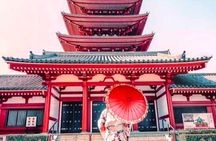 Private 1-Day Tokyo city tour with English speaking Driver 