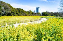 Hama-rikyu Gardens Walking Tour with Matcha& Japanese Sweets
