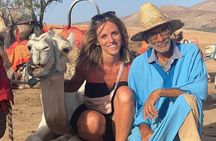 Magical dinner, sunset, music and fire show in Agafay desert