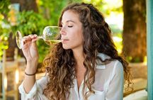 Private Full Day Wine Tour in Cape Town