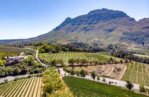 Private Full Day Wine Tour in Cape Town