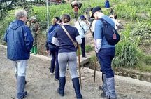 1 Day Rwanda Gorilla Trekking Tour