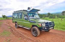1 Day Akagera National Park Big Cats Safari