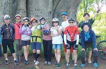 Royalty travel biking tour 
