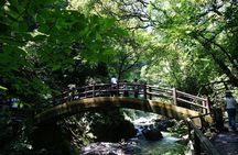 Kyushu Kamishiromi Shrine, Amano Iwato, and Takachiho Gorge Tour
