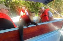 Monkey Island, Gatun Lake and the Panama Canal