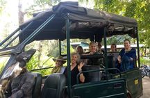 2 Day Bandipur Safari and Mysore Palace Tour