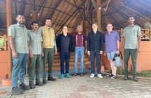 2 Day Bandipur Safari and Mysore Palace Tour