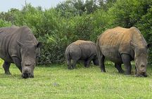 Kragga Kamma Game Drive and Scenic Coastal Tour in Port Elizabeth