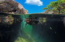 Tulum Guided Tour, Magical Cenote, Lagoon Snorkeling and Beachside Lunch