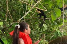 Monkey Island: The Wild Life Safari at Gatun Lake