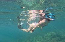 MOST POPULAR TOUR IN LA PAZ! Swim with Sea Lions Private Boat
