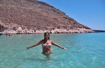 MOST POPULAR TOUR IN LA PAZ! Swim with Sea Lions Private Boat