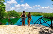 Magical Cenote and Paradise Lagoon Snorkeling Adventure