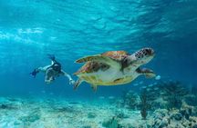 Tulum, Snorkeling with Sea Turtles, Cenote and Beachside Lunch