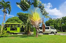 Dominica Roseau City and Rainforest Tour