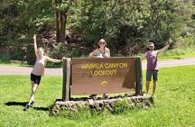 Kauai Island Private Guided Tour-Waimea Canyon from Lihue/Kapaa