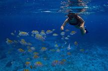 Cozumel Luxury Sailing & Snorkeling with Lunch and Open Bar Onboard