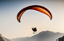 paragliding in Agafay Desert with Camel Ride 