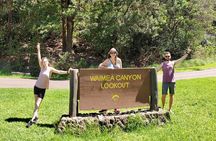 Kauai Island Private Guided Tour-Waimea Canyon from Princeville 