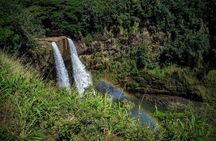 Kauai Island Private Guided Tour-Waimea Canyon from Princeville 